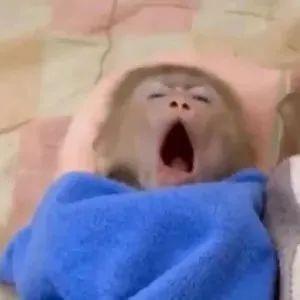 王者荣耀十周年送限时点券，燃灯寄梦最高得2000！【高级河灯关羽5TZW1W】我是高级河灯，点亮可获得80限时点券，复制口令领！截图