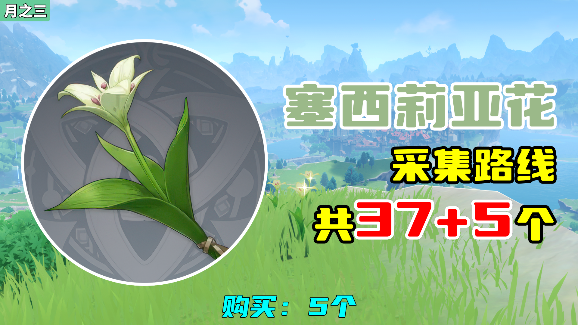 【原神】塞西莉亚花采集路线（37+5个），购买：5个