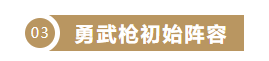 新手开荒丨从0开始教你组建枪兵阵容|重返帝国 - 第11张