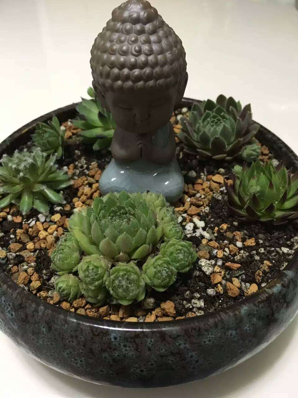 大海啊，全是水