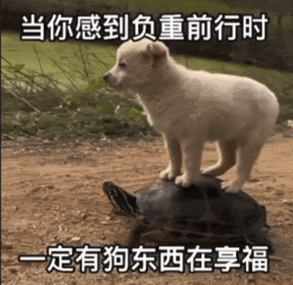 增强格挡对队伍减伤的建议