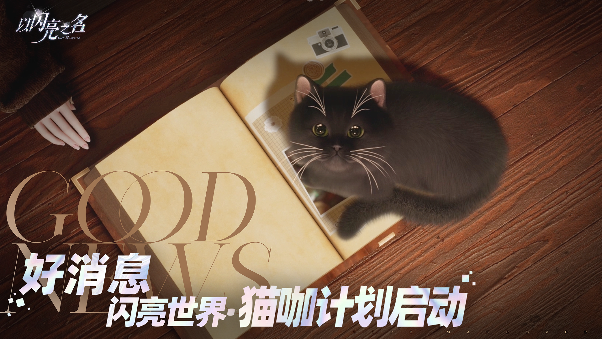 今日计划之准备在以闪亮之名开猫咖了！