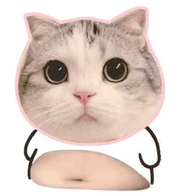 【新区公告】费伦-晨曦猎龙弓（安卓IOS