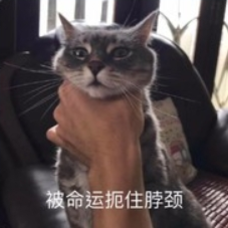 【科研向】骑士嘲讽技能概率