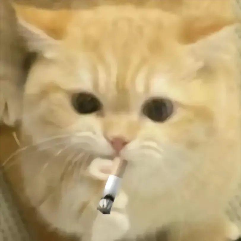 守护者‘不朽者’皮肤首次登场！