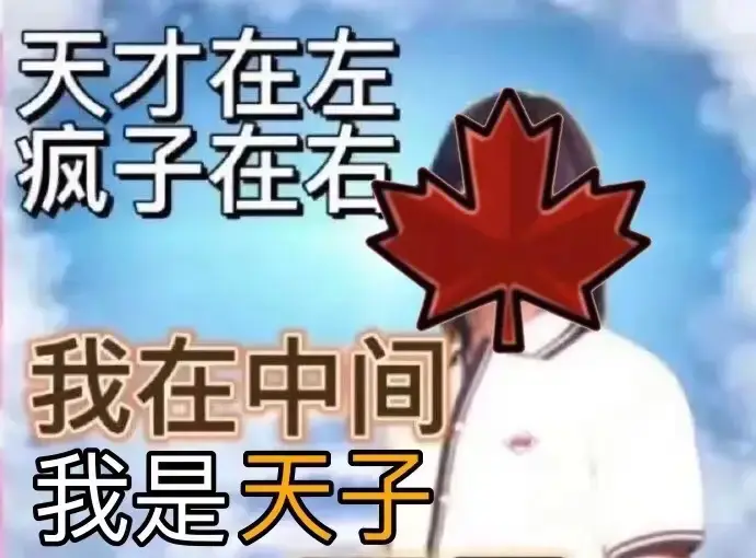 找玩鹅鸭杀搭子