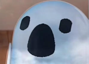 泰拉知识问答大赛