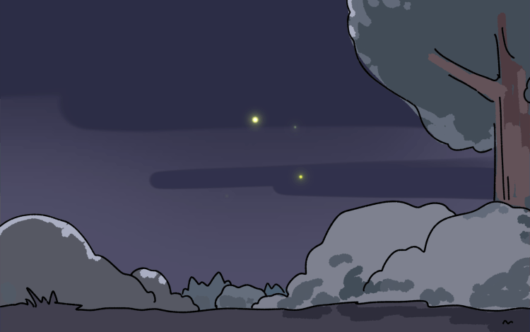 书院见闻 | 要看萤火吗