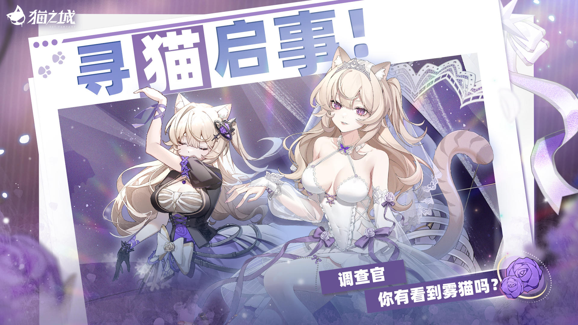 🐈寻猫启事：你有看到雾猫吗？