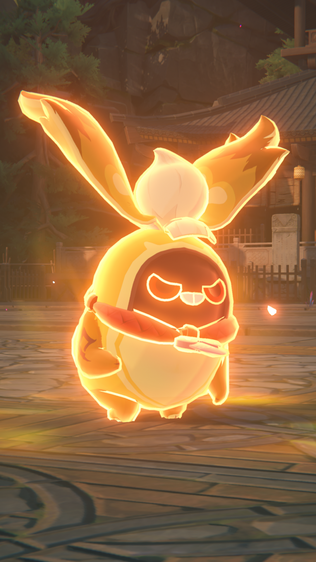 布后花絮丨芽芽