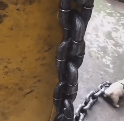 等的黄花菜都凉了，到底几时去啊？