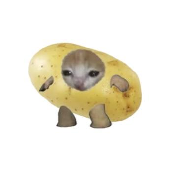 谁能带带我截图