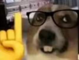 论家园的妙用截图