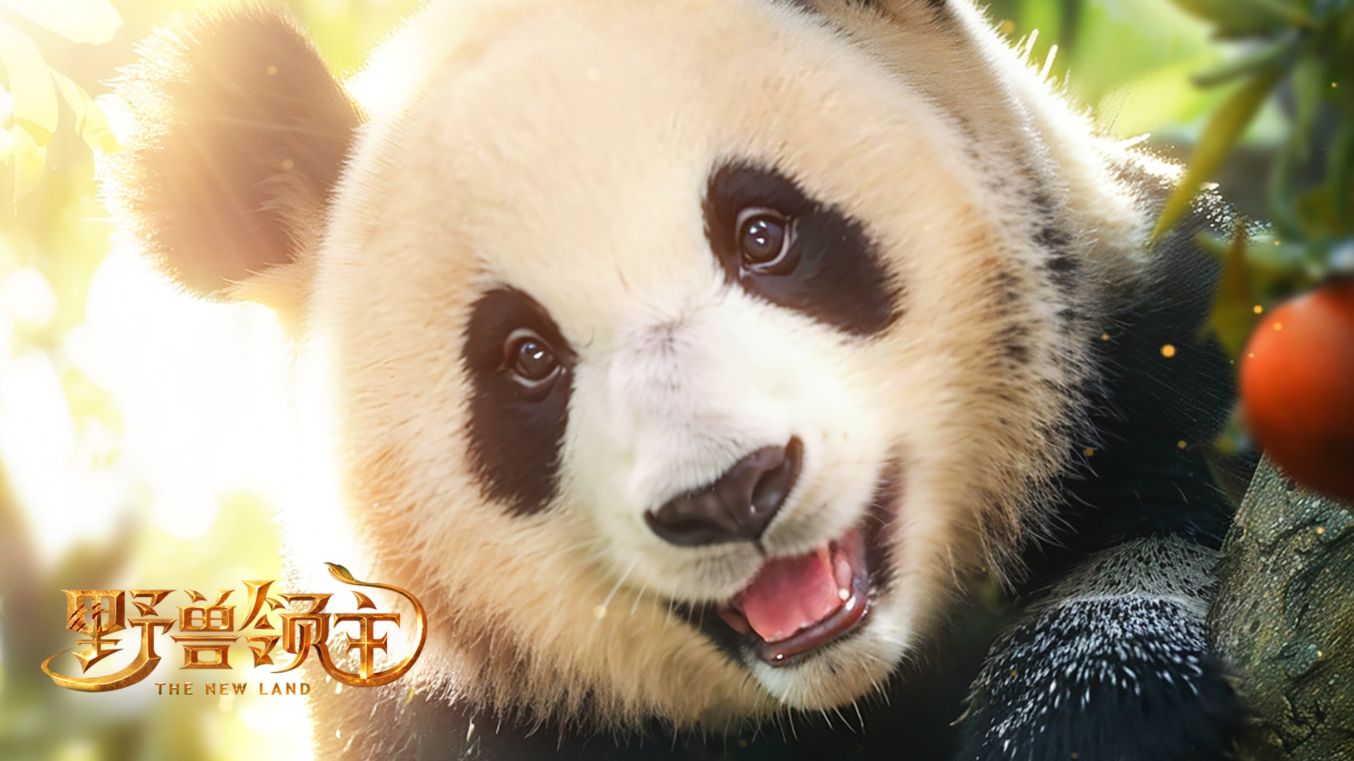『黎明测试』定档4月18日，欢迎福宝归国，上线送熊猫"福包"