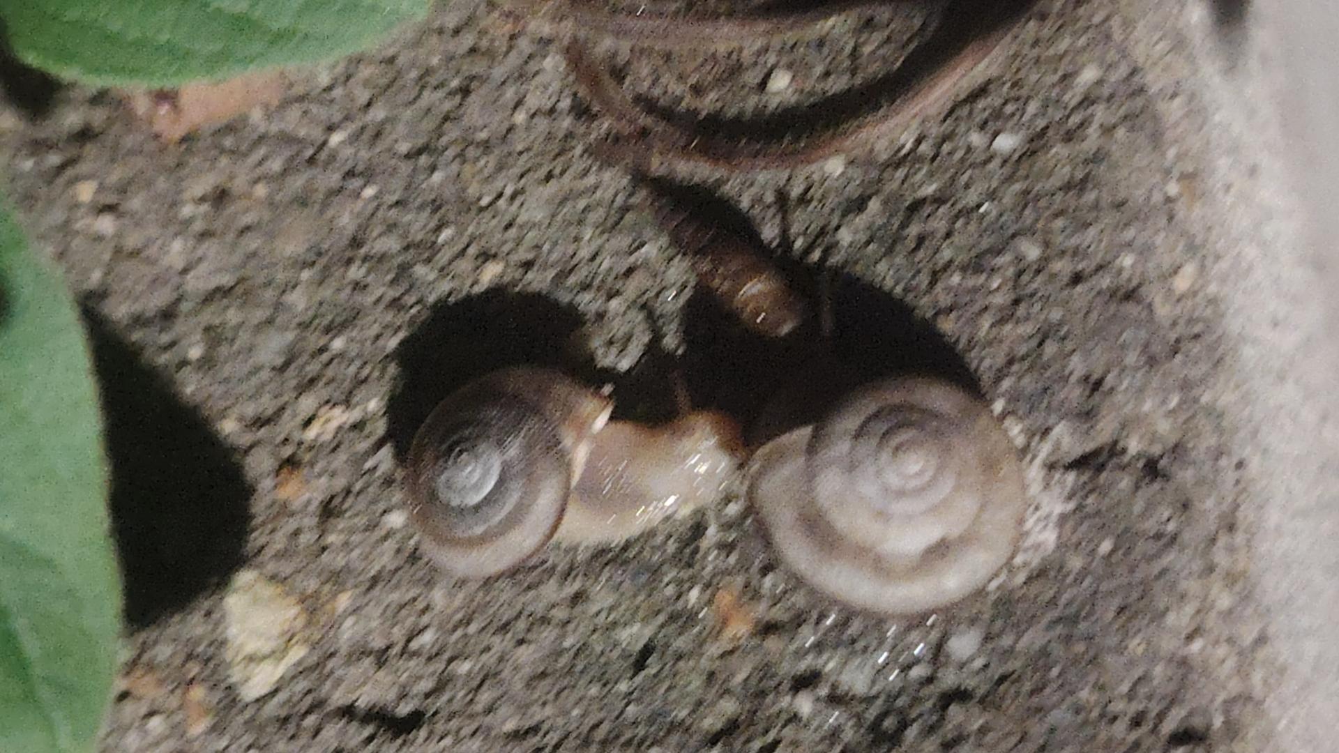 充满科技的航天基地。