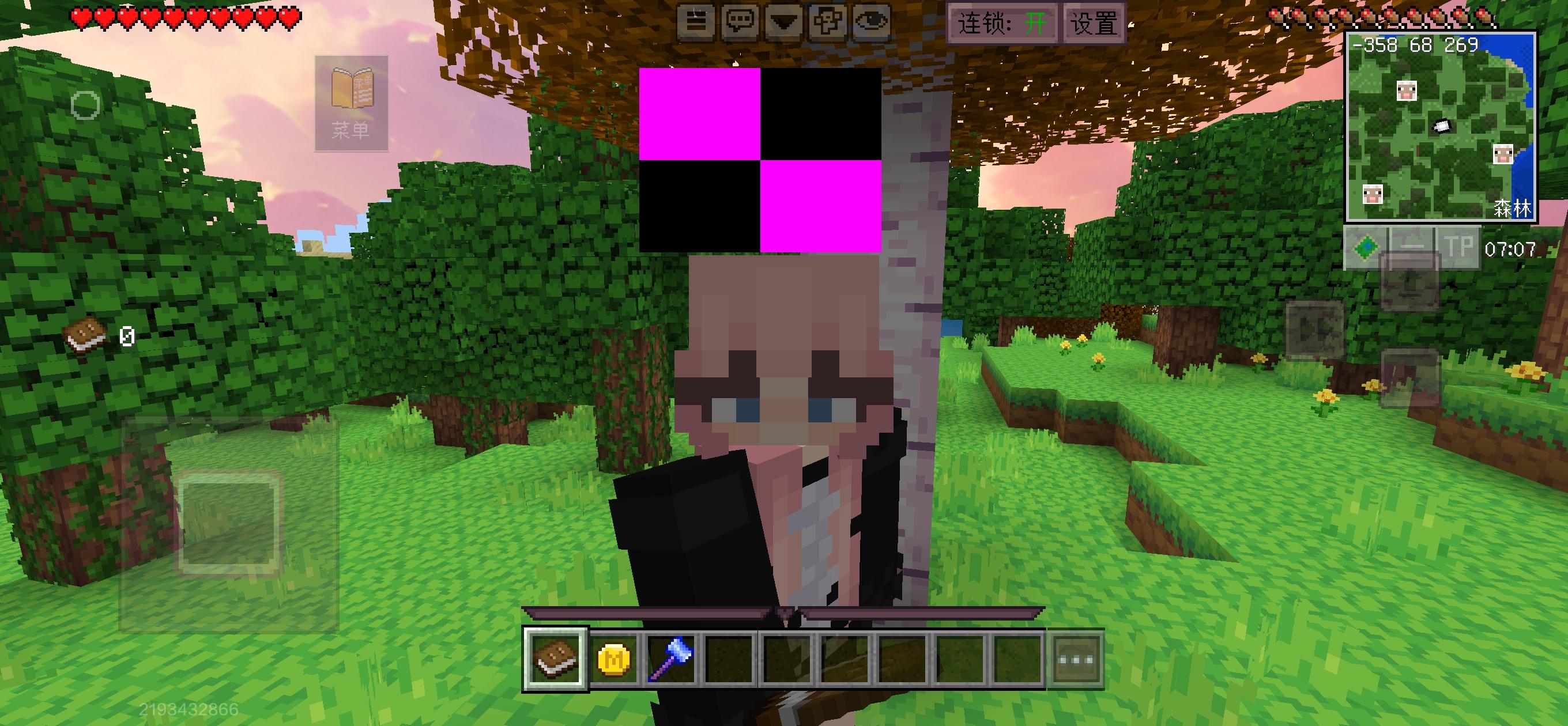 出现这个出现这个粉色黑色，这个咋整呢？怎么给它弄没呀？新建了一个世界也没用截图