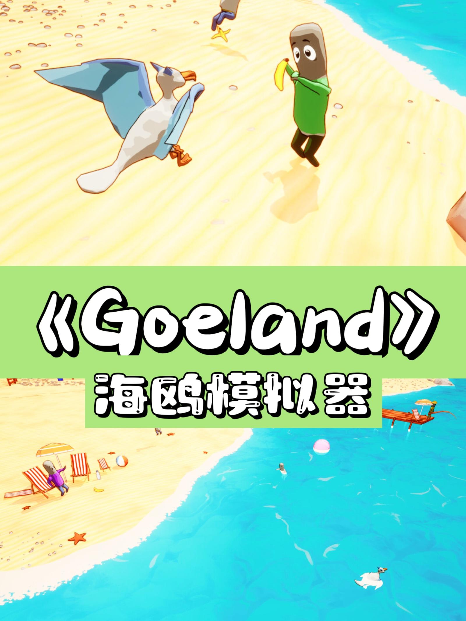 扮演一只令人讨厌的海鸥🎮尽情为所欲为吧