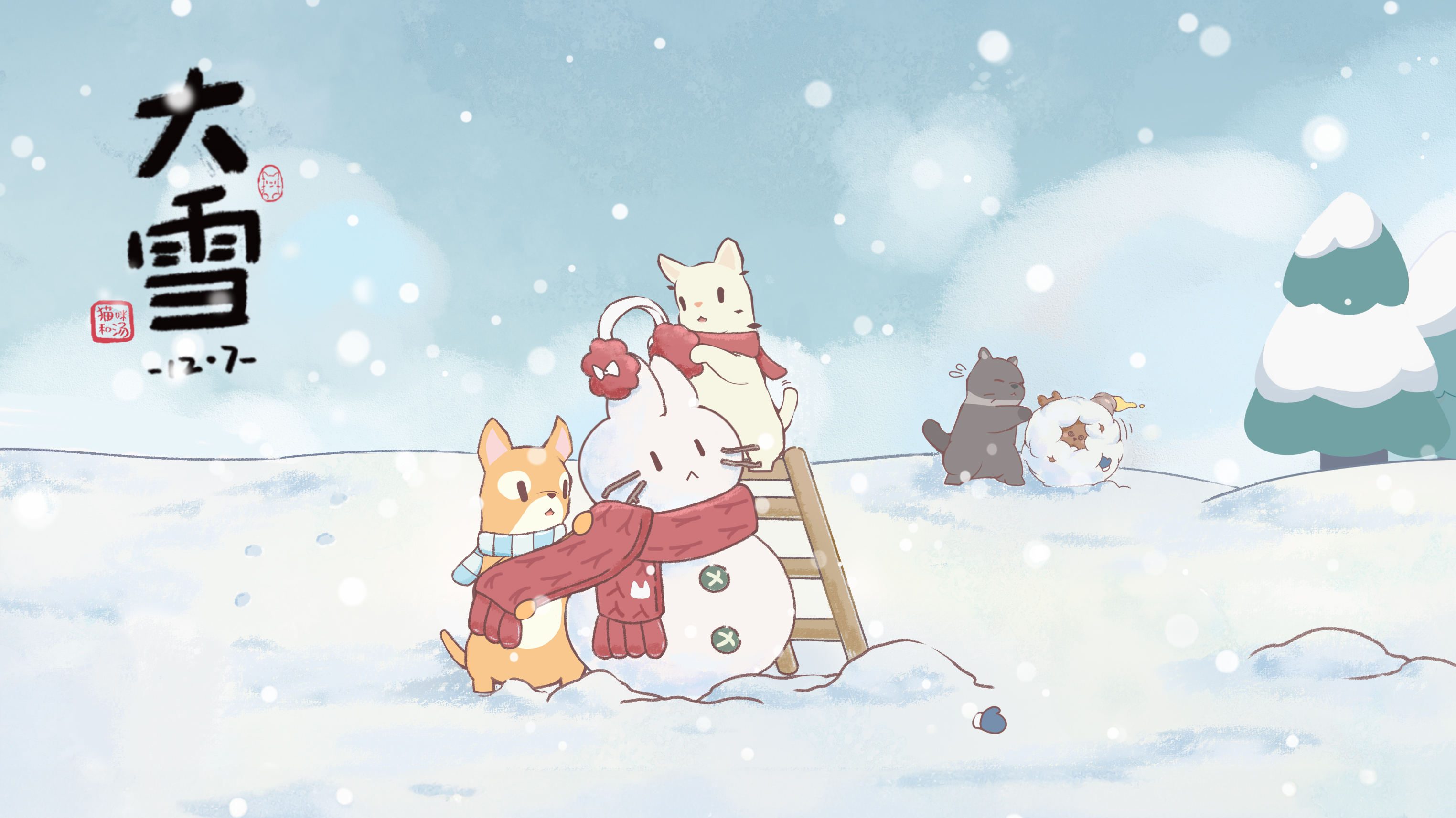 猫咪和汤丨大雪盛，仲冬始