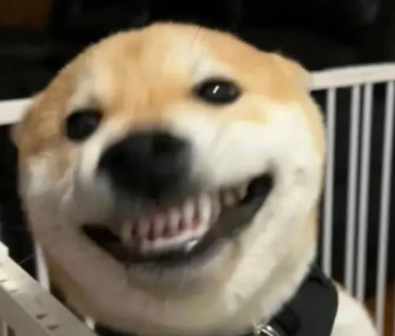 完成这个任务就能成功脱单！