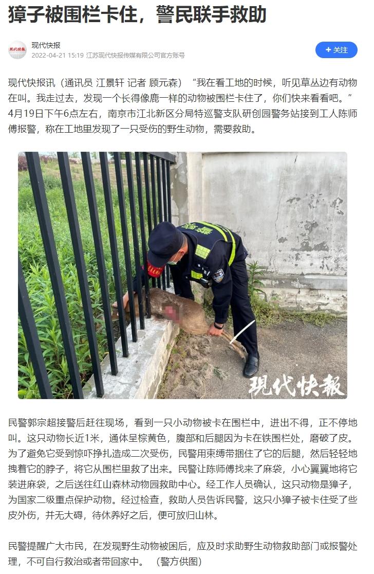 同事给我发了左图
说计划做个卡在场景里的敌人
（但不是獐子）
（獐子禁止使用獐子）