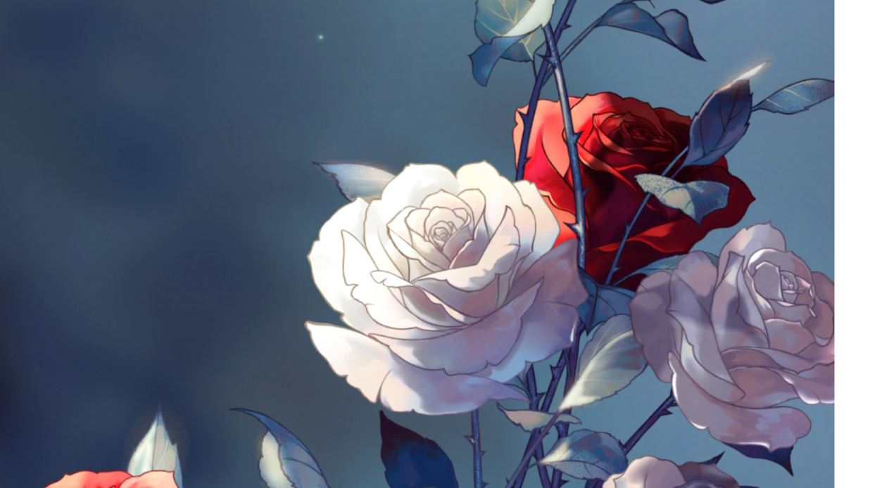 个人对测试的一些看法