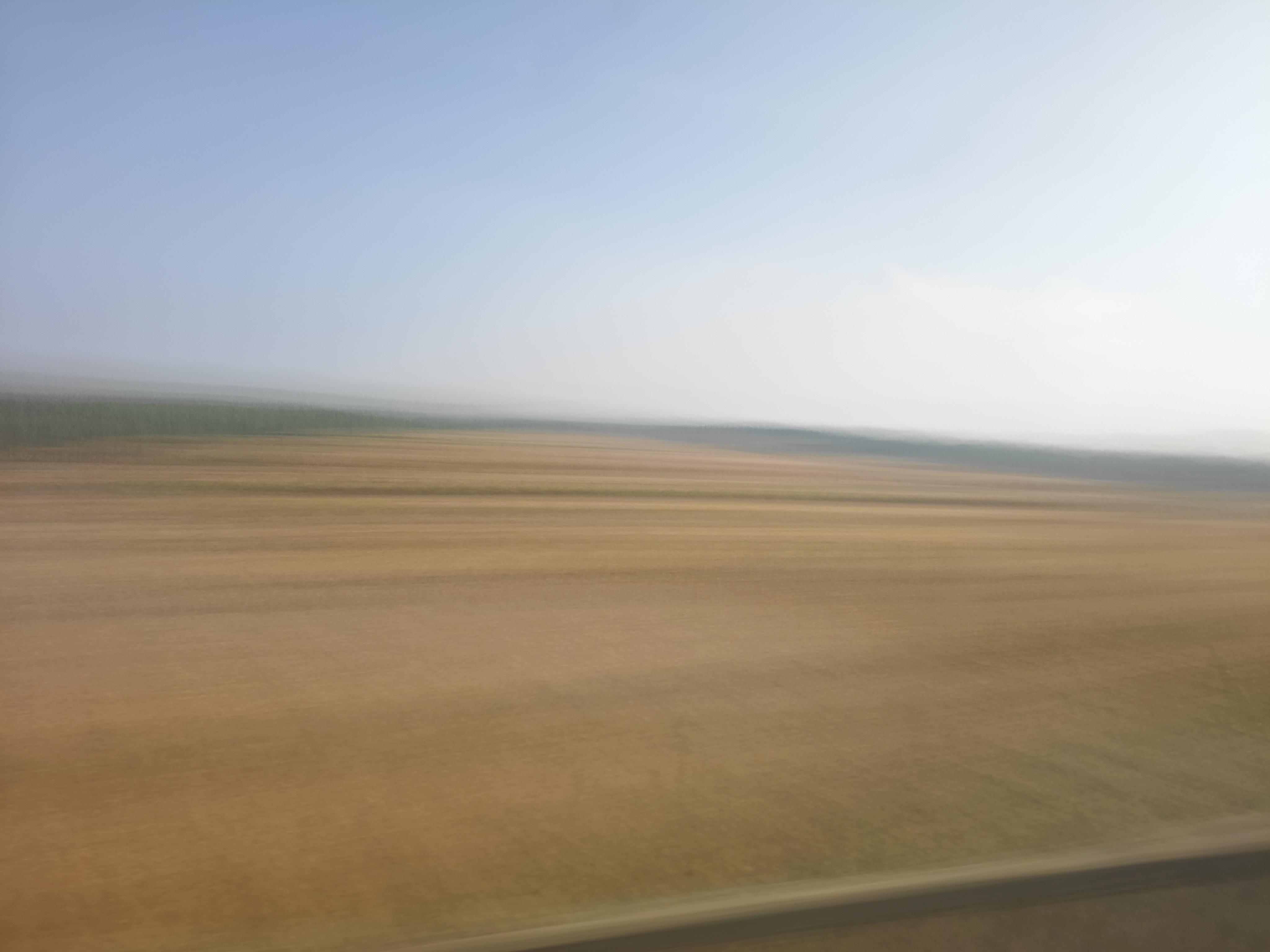 ‘后巷牙’狼人皮肤登场！