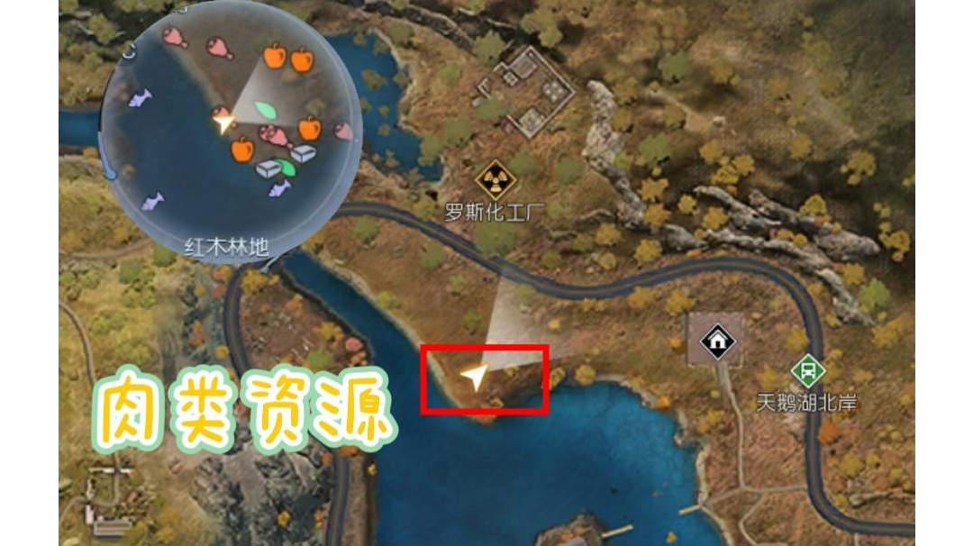 黎明觉醒1-29级红木林地资源点