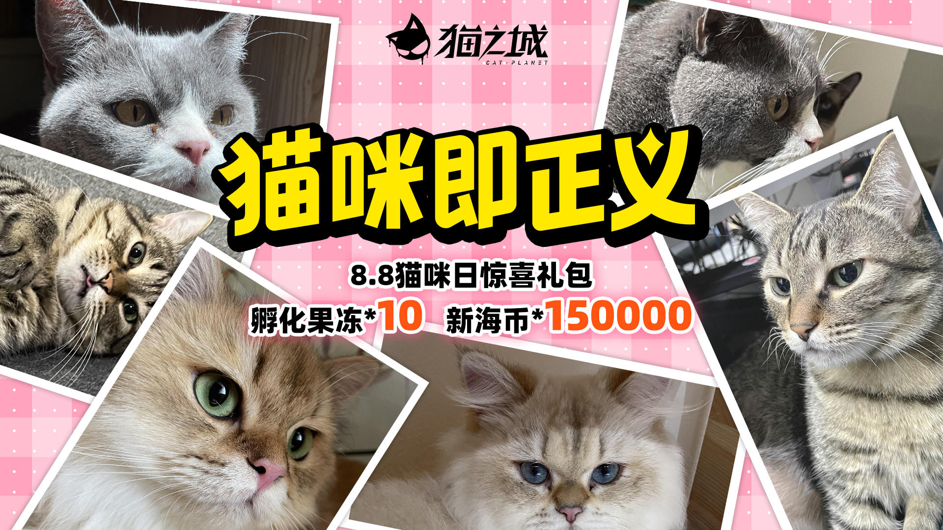 【福利】猫咪日惊喜礼包送达！祝全世界的小猫咪们节日快乐~