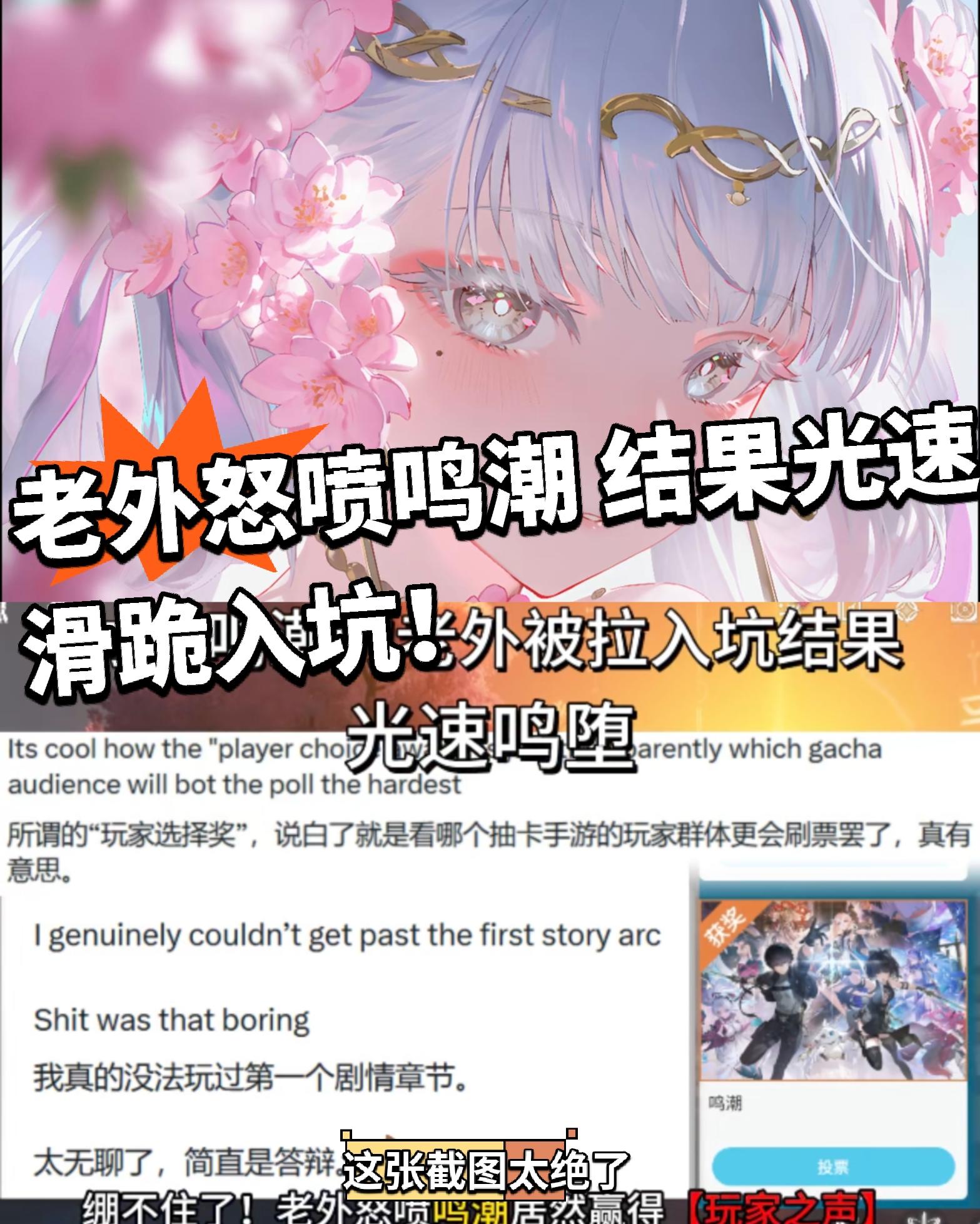 一入鸣潮终误身！老外怒喷结果光速入坑！