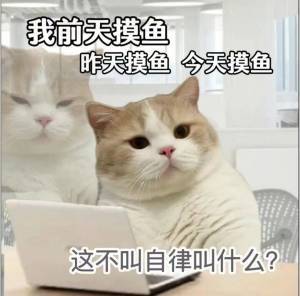 关于氪金与养成（阿灿精讲）