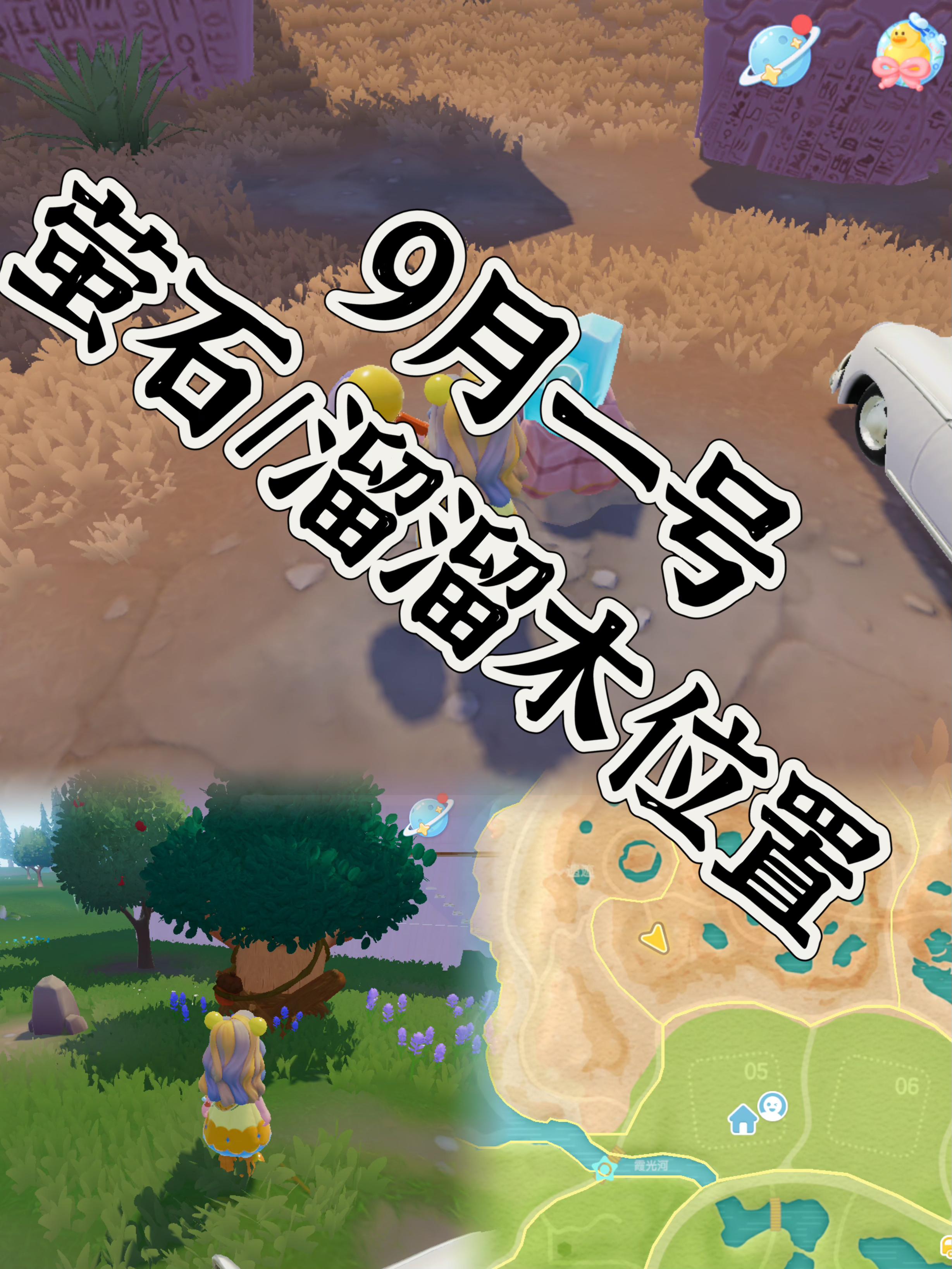 9.1萤石/溜溜木位置截图