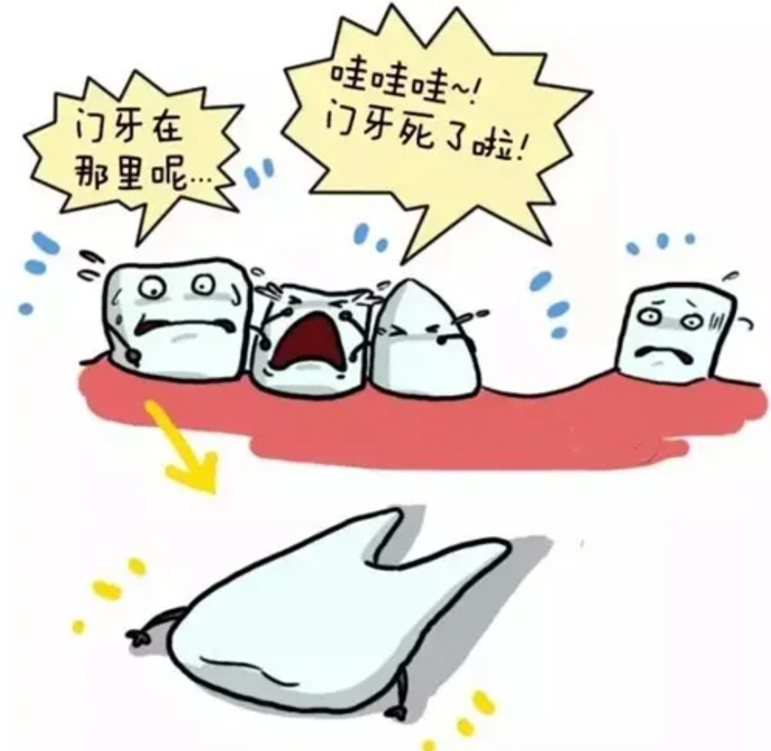 梦中兄弟争斗，门牙之痛与午睡时光的深层解读