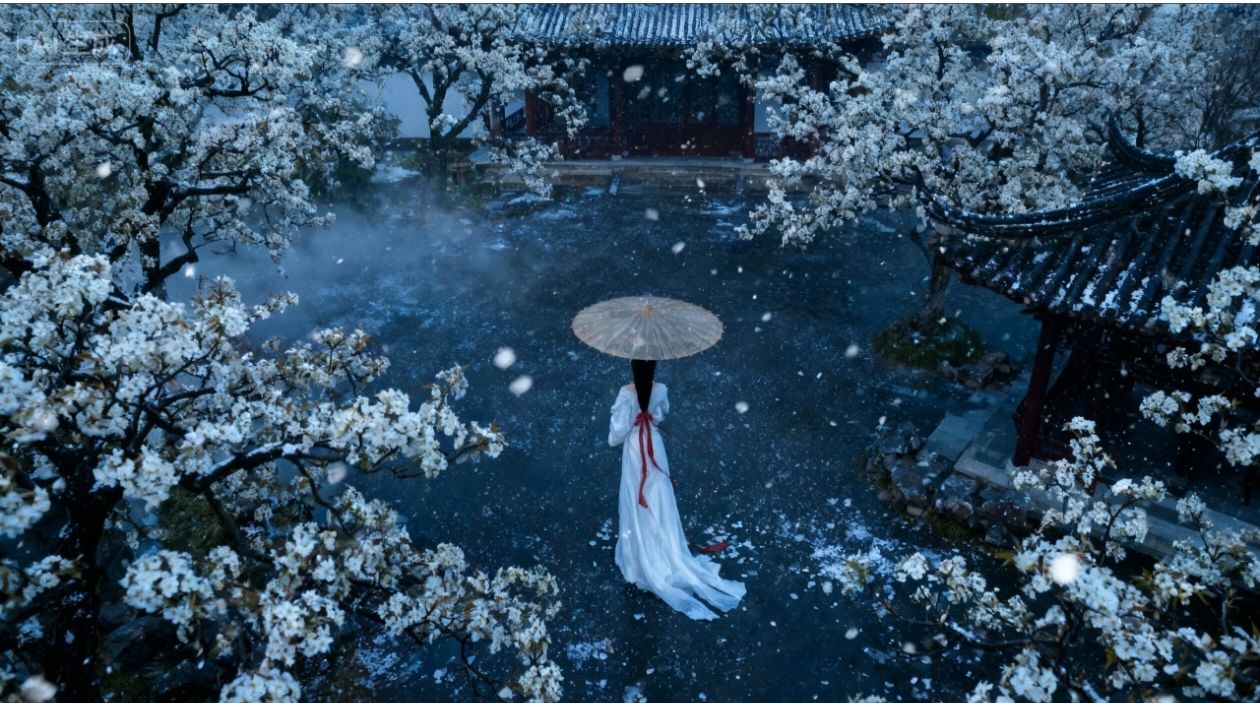 一个人可以走很快，但一群人可以走很远。论坛玩家群，只等你来！