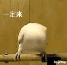 联动活动领奖励