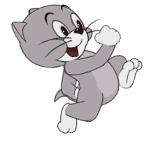托普斯动作展示丨小奶猫托普斯来啦，智商高捕鼠强就是他！|猫和老鼠 - 第14张