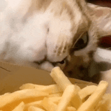 🍔奖励已发【疯狂星期四】🍔今天星期四，送皮肤啦！！！