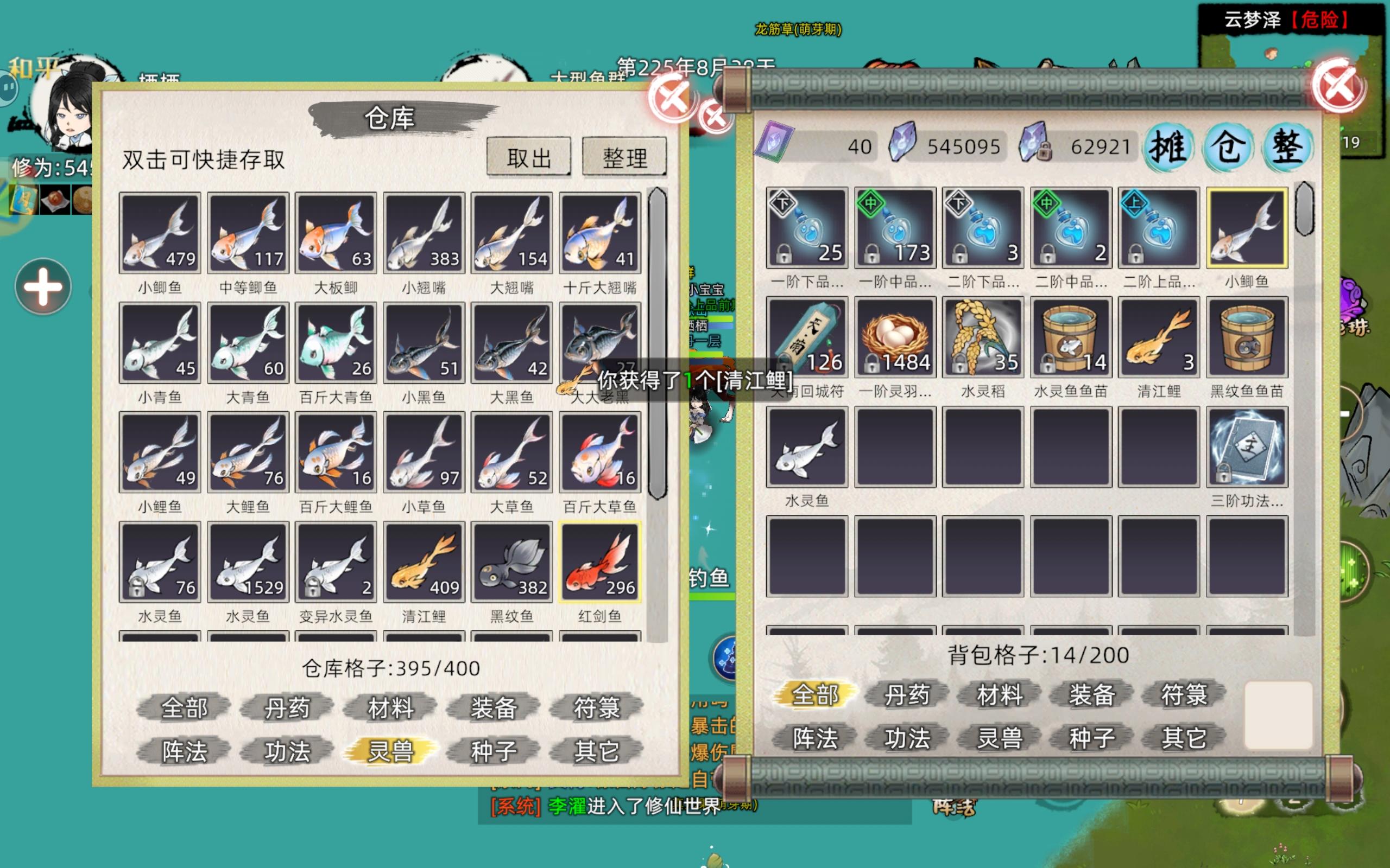 我的修仙引路人