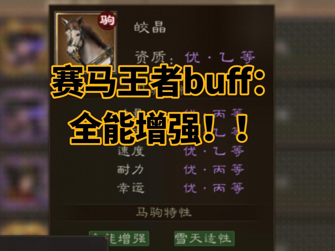 赛马最强buff：全能增强