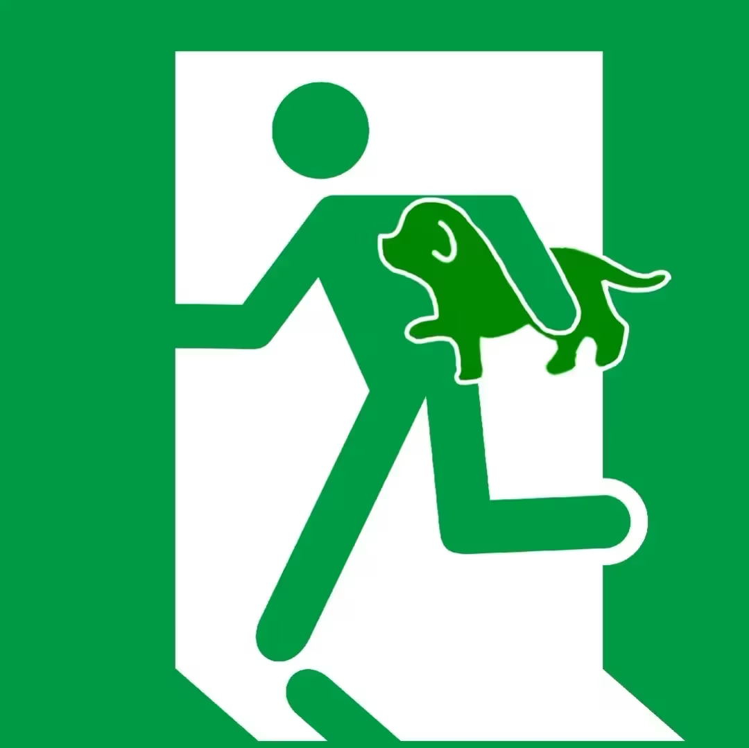 白菜被收编设想