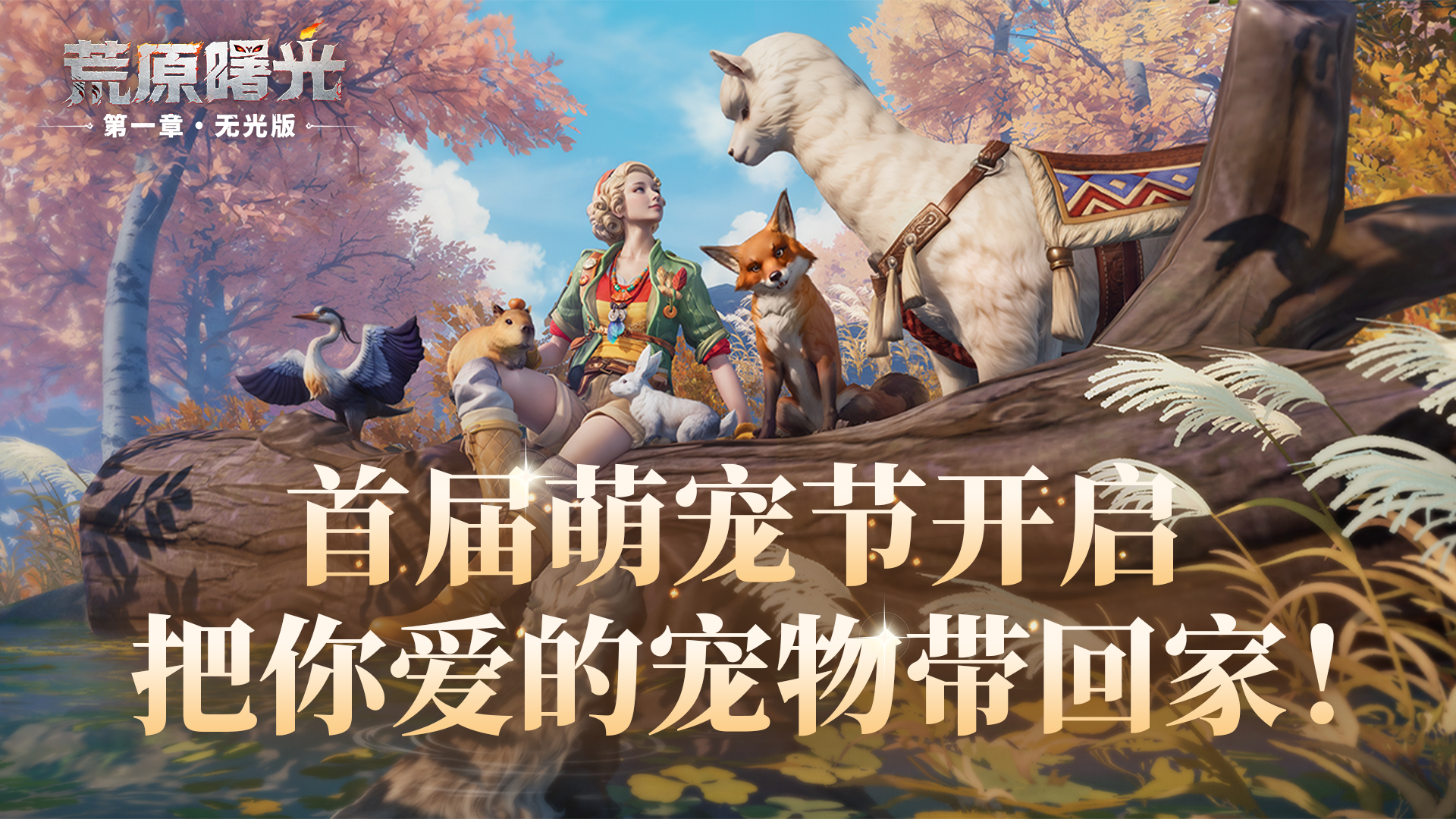 首届萌宠节开启，把你爱的宠物带回家！