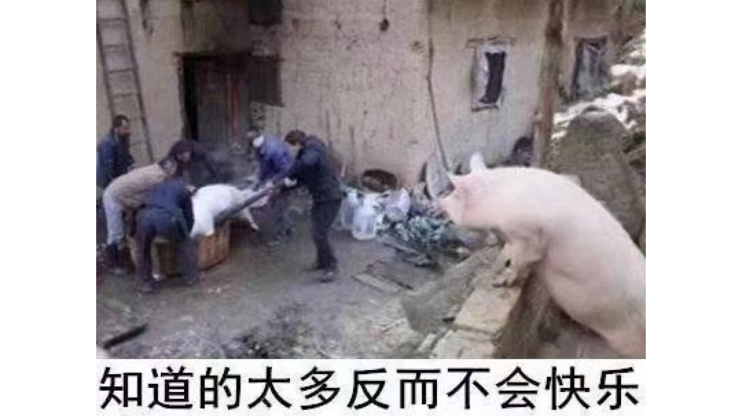 🐷神皇冠萌新如何快速成长指南(上)