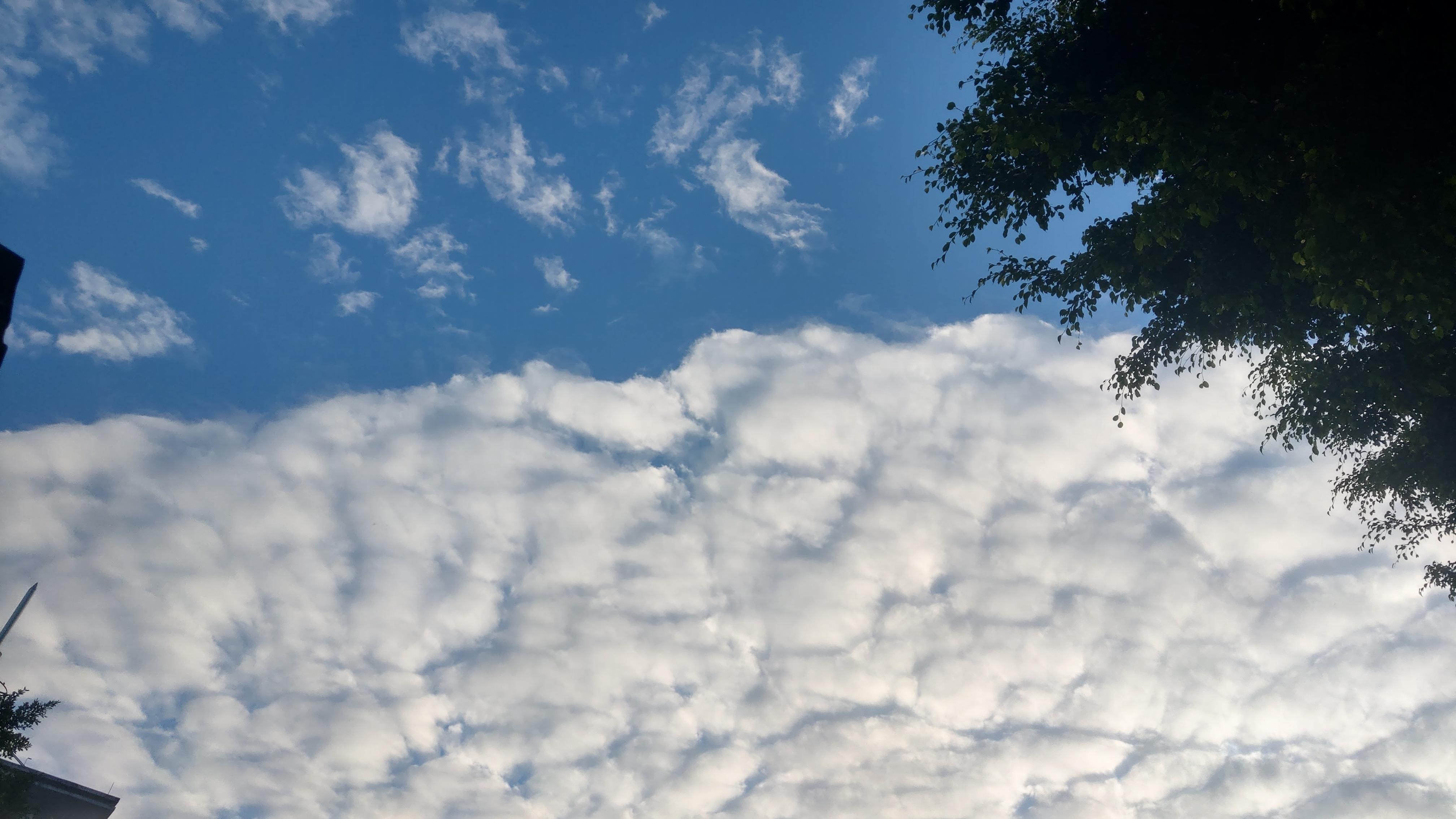 真正的像素早就死在停服的那一年