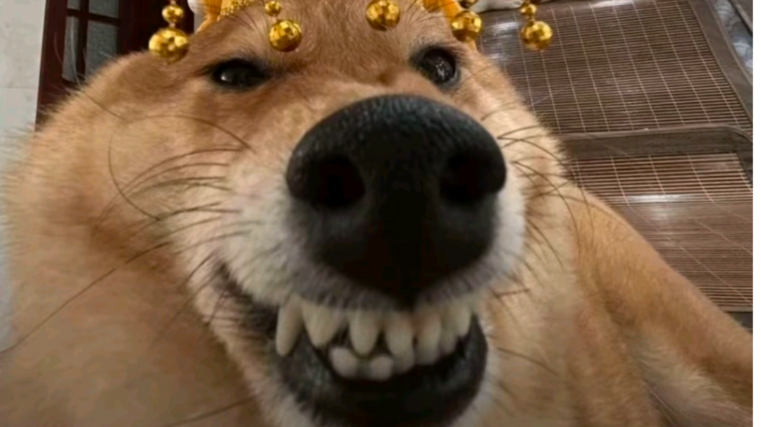 战魂新版本小总结