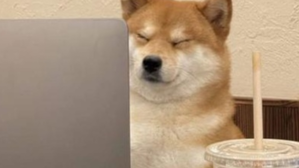 刀侠陈海的无聊岁月：小武生诸葛晧