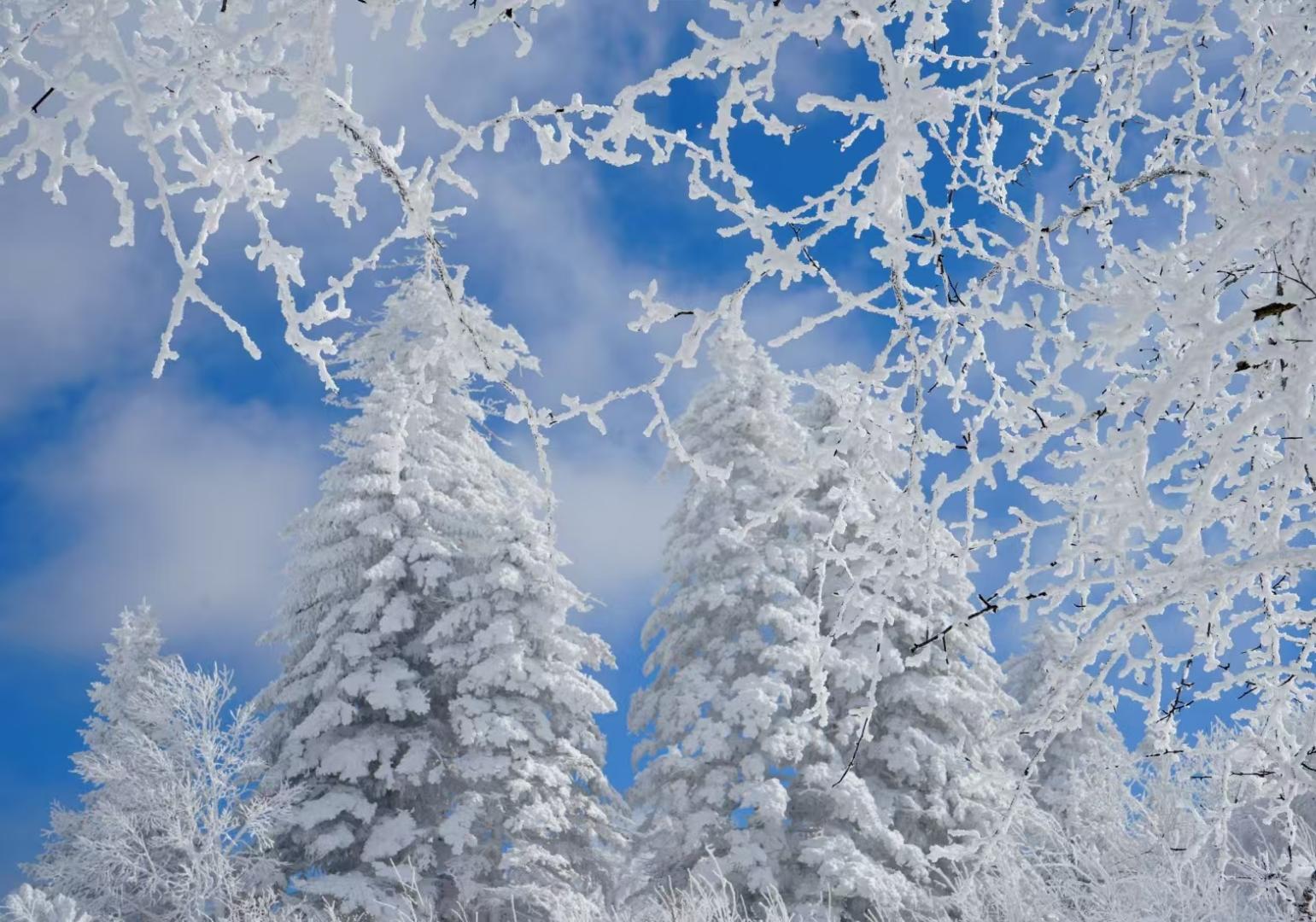 大佬们有没有驾崩枪转拳的思路( ˝ᗢ̈˝ )