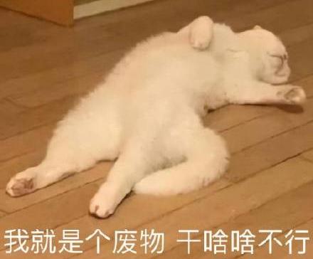 求求了，赶紧把大秘境优化了，我都不敢想出到20层要搞废多少人！