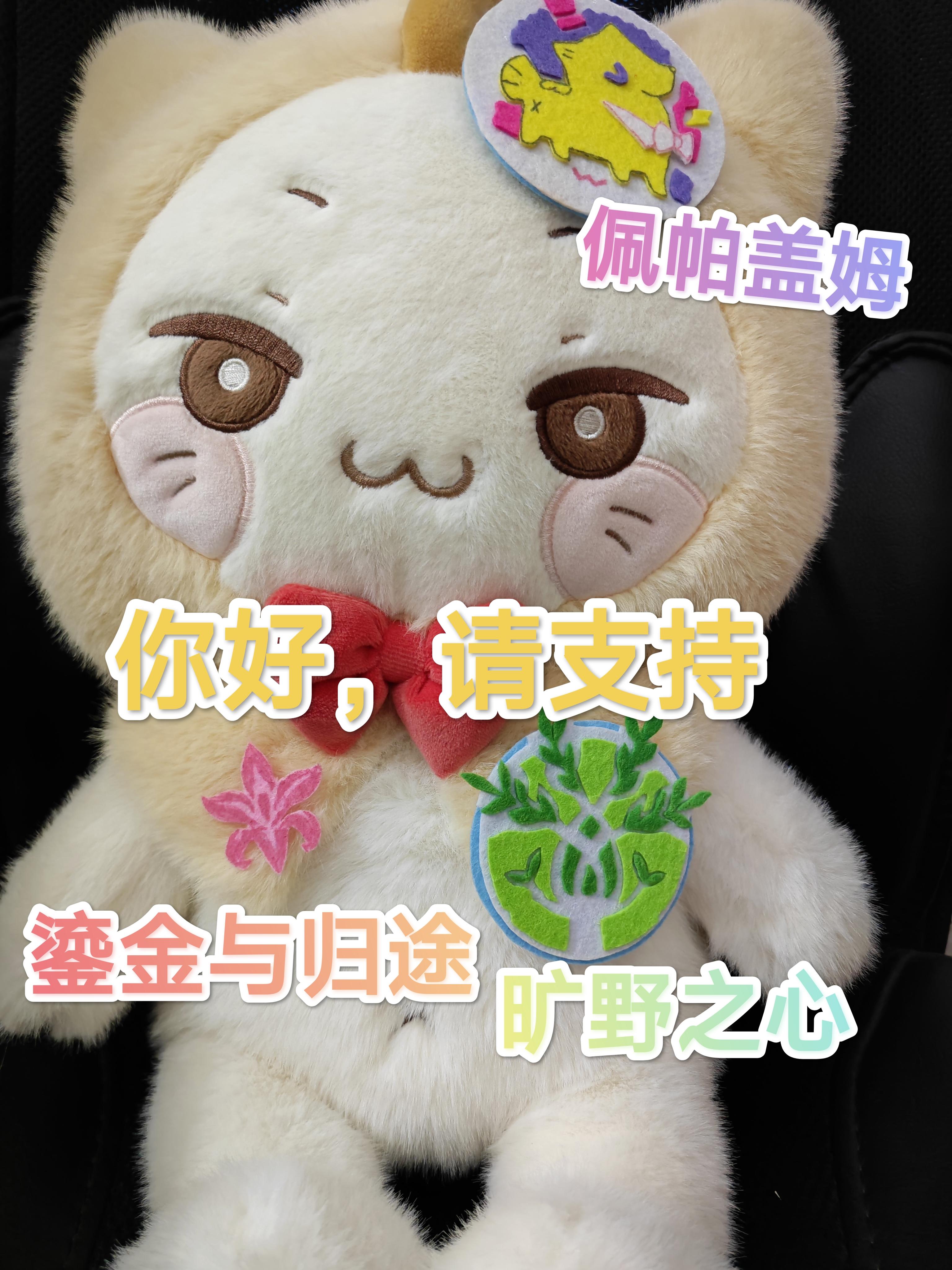 大家都选了什么阵营