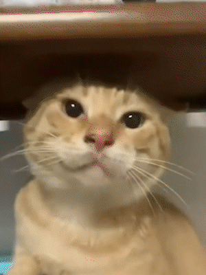 新机甲特性不一定真截图