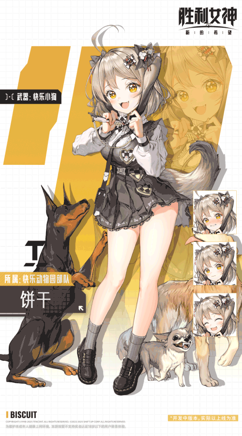 妮姬介绍 | 饼干