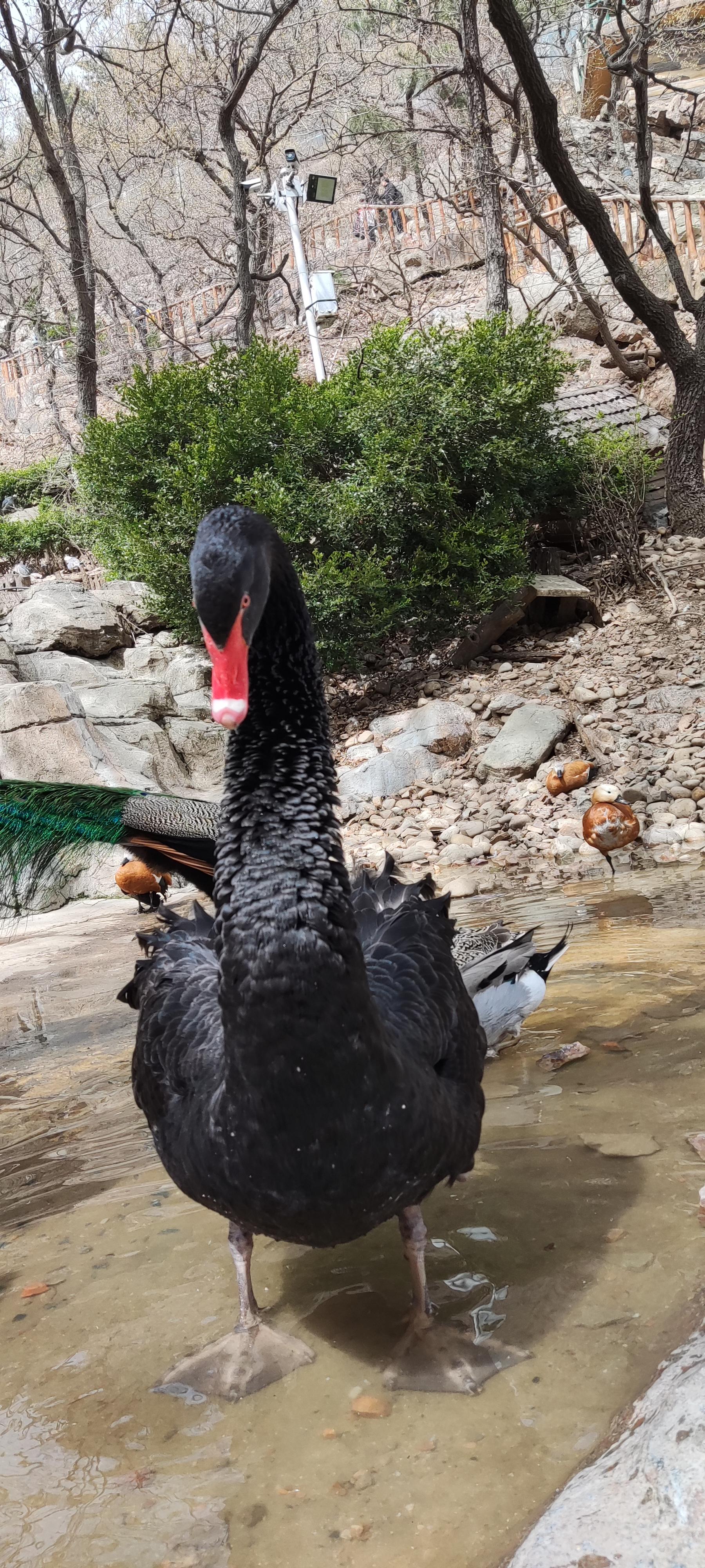 如何水一篇好帖？